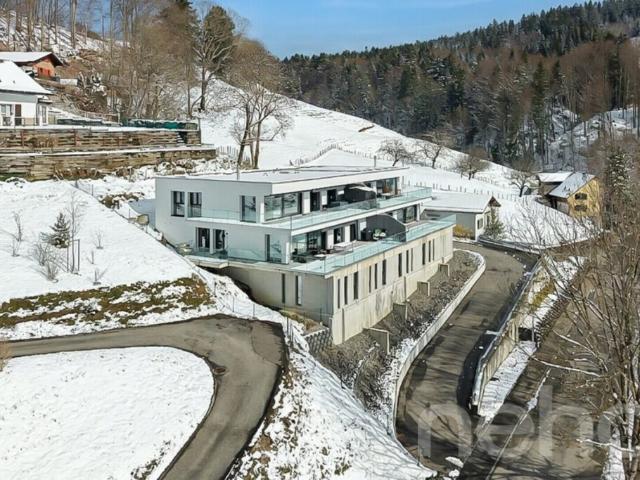 Immobilie kaufen in Plasselb, Freiburg