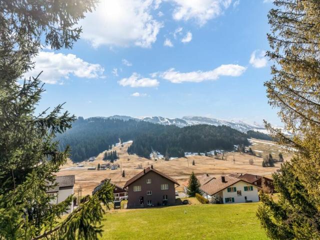 Wohnung kaufen in Wildhaus-Alt St. Johann, St. Gallen