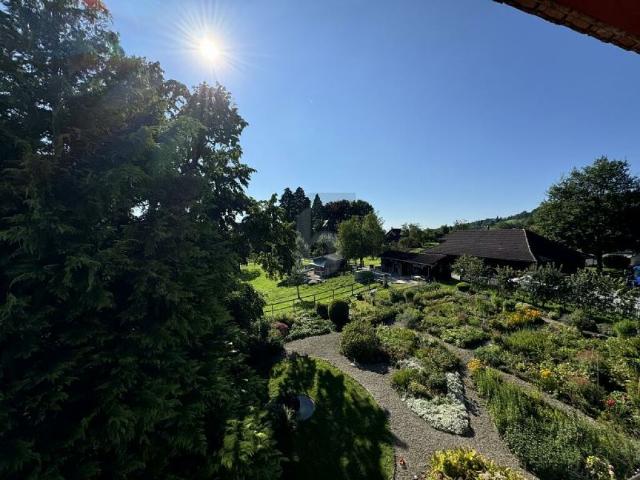Dachwohnung mieten in Hausen am Albis, Zürich