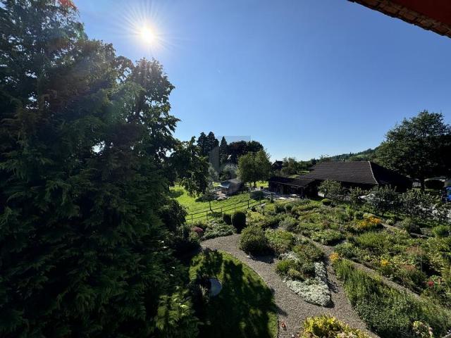 Attikawohnung mieten in Hausen am Albis, Zürich