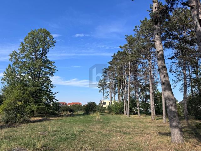 Grundstück kaufen in Gänserndorf, Bezirk Gänserndorf