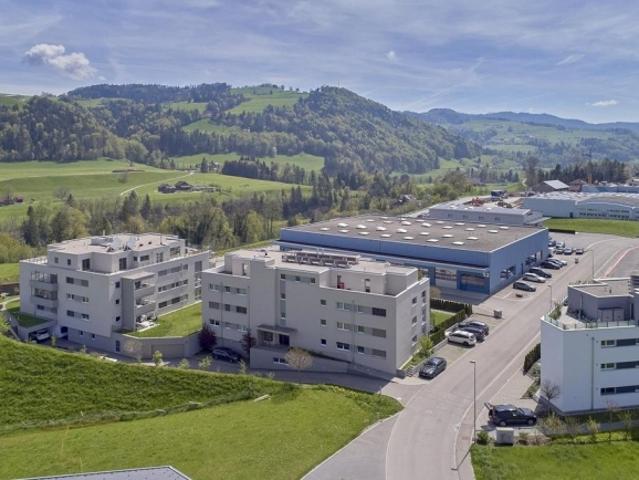Wohnung mieten in Bütschwil-Ganterschwil, St. Gallen