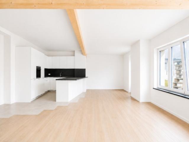 Attikawohnung mieten in Seewen, Solothurn