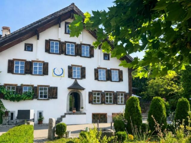 Einfamilienhaus kaufen in Ebnat-Kappel, St. Gallen