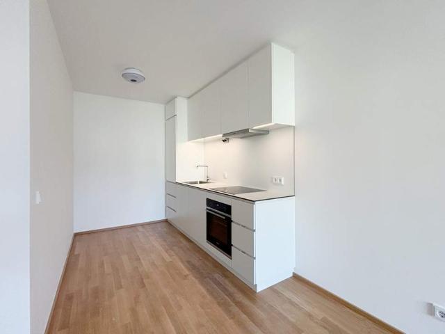 Wohnung mieten in Mödling, Bezirk Mödling