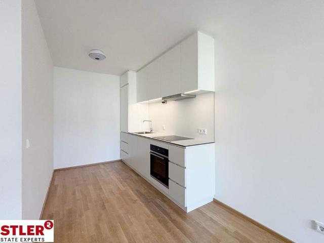 Wohnung mieten in Mödling, Niederösterreich