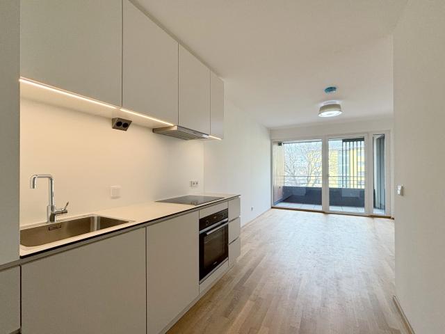 Apartment mieten in Schöffelstadt, Mödling