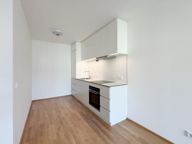 Apartment mieten in Schöffelstadt, Mödling