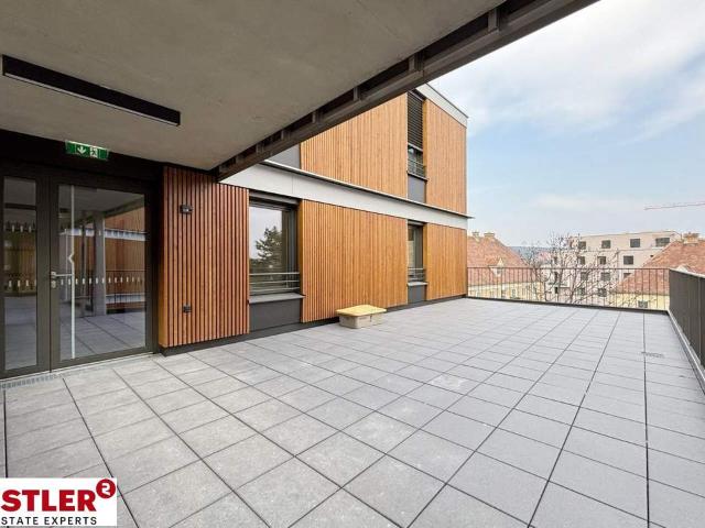 Wohnung mieten in Mödling, Niederösterreich