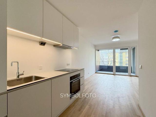 Wohnung mieten in Mödling, Bezirk Mödling