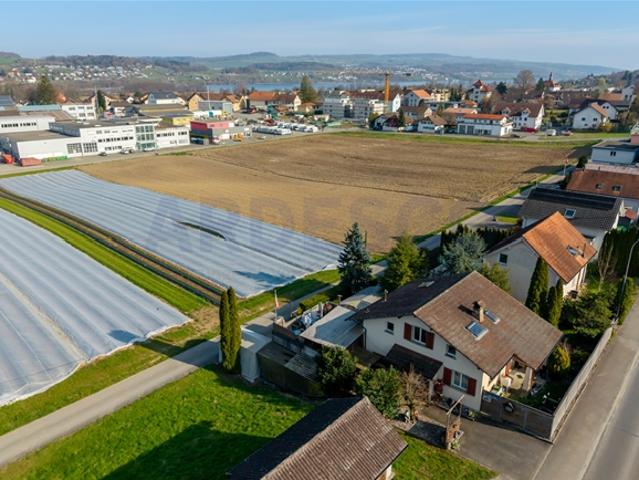 Einfamilienhaus kaufen in Hallwil, Aargau