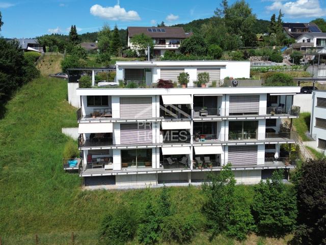 Immobilie kaufen in Hölstein, Basel-Landschaft
