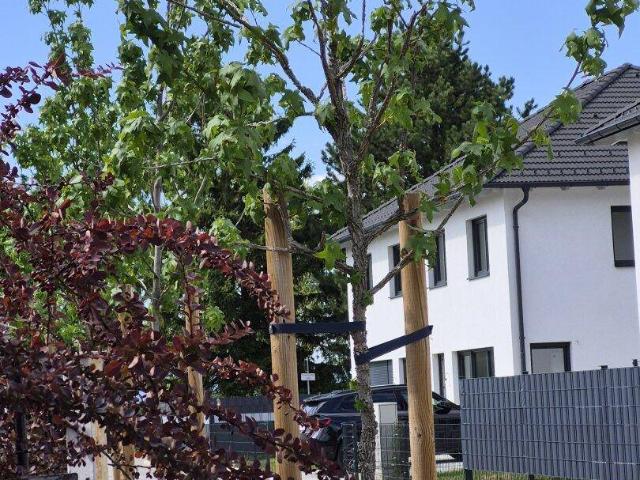 Haus kaufen in Katastralgemeinde Unterwaltersdorf, Ebreichsdorf