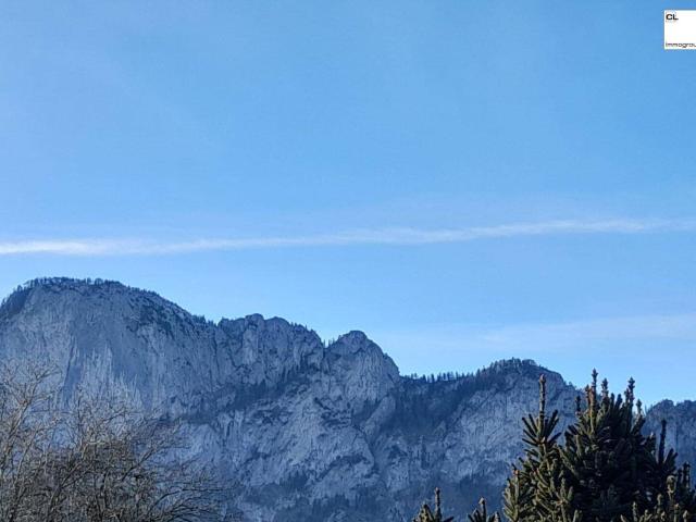 Apartment kaufen in Mondsee, Schlößl
