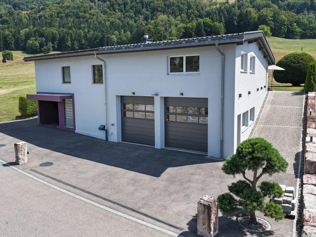 Haus kaufen in Balsthal, Solothurn