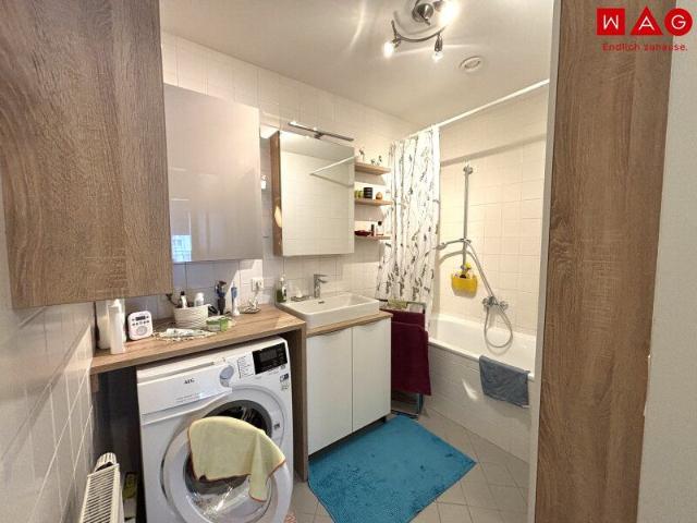 Apartment mieten in Steyregg Ost, Steyregg