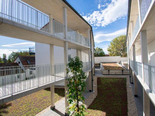 Apartment kaufen in Lieboch, Steiermark