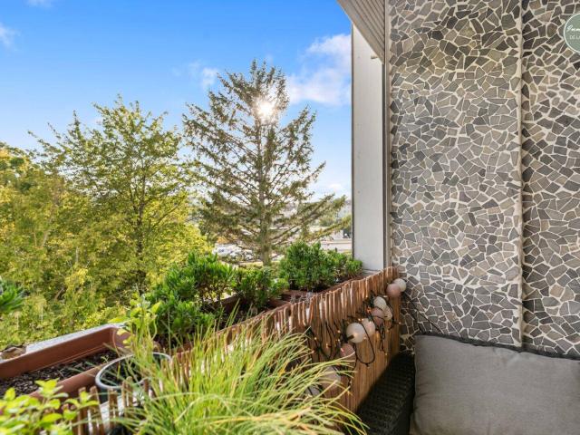 Apartment kaufen in Brunn am Gebirge, Niederösterreich