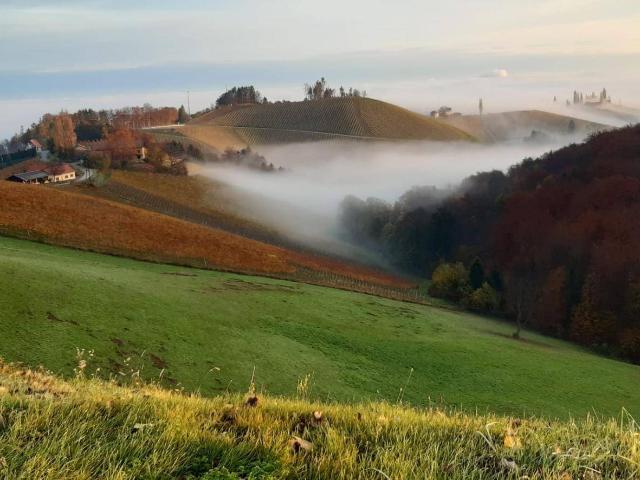 Haus kaufen in Grubtal, Gamlitz