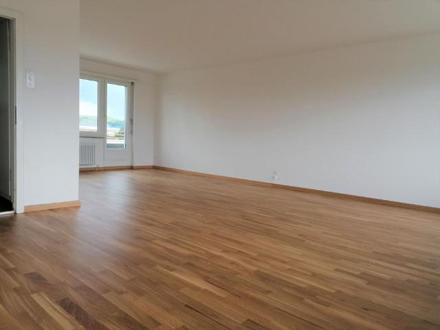 Apartment mieten in Kleinbasel, Basel