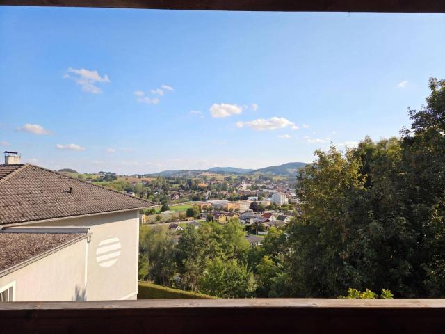 Apartment kaufen in Langenstein, Oberösterreich