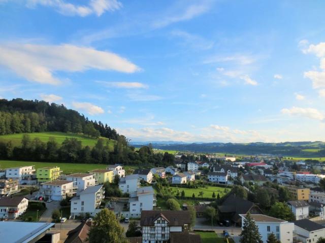 Terrassenwohnung mieten in Nebikon, Lü