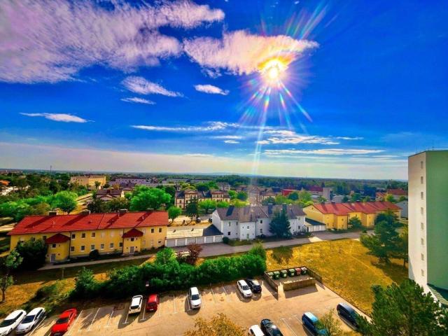 Apartment kaufen in Felixdorf, Niederösterreich