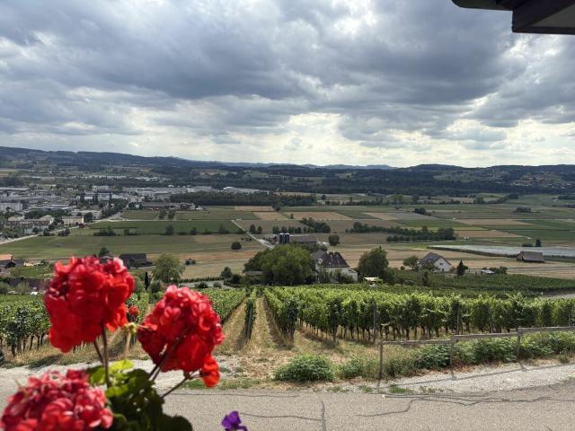 Wohnung mieten in Weinfelden, Thurgau
