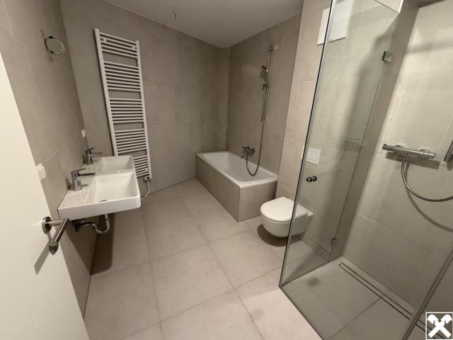 Wohnung kaufen in Brunn am Gebirge, Niederösterreich