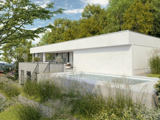 Einfamilienhaus kaufen in Arlesheim, Basel-Landschaft