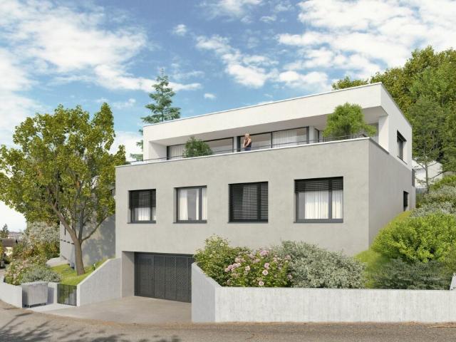 Immobilie kaufen in Arlesheim, Basel-Landschaft