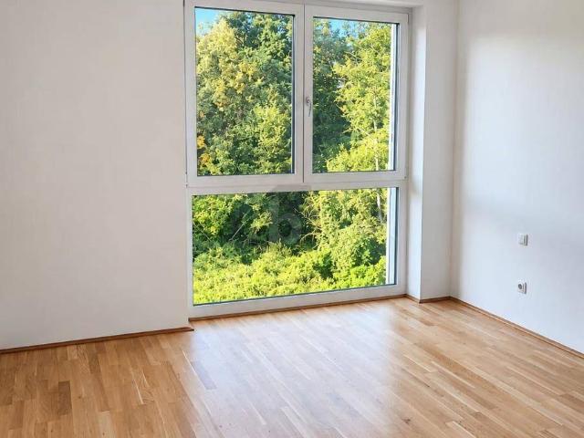 Apartment mieten in Bad Hall, Bezirk Steyr-Land