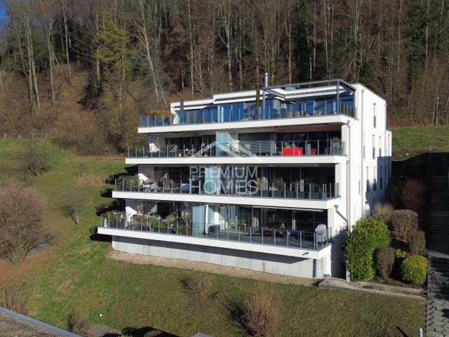 Wohnung kaufen in Stallikon, Zürich
