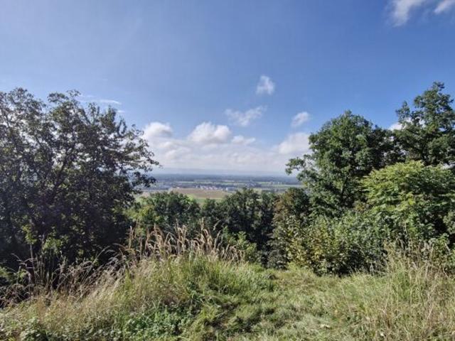 Grundstück kaufen in Linz, Oberösterreich