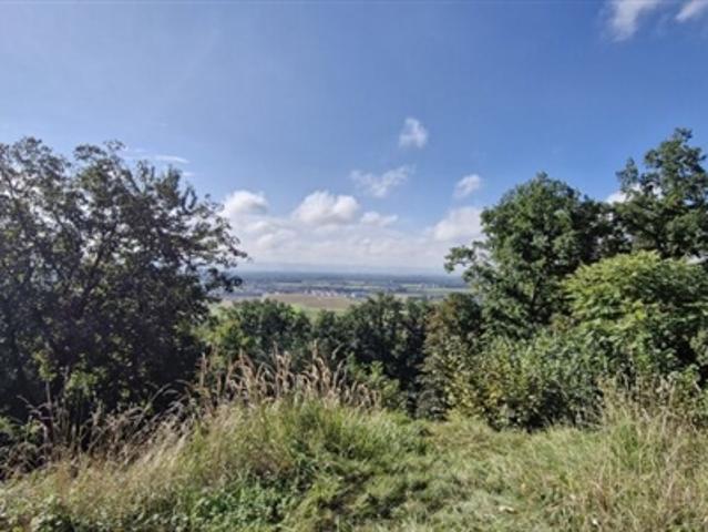 Grundstück kaufen in Feldkirchen an der Donau, Oberösterreich