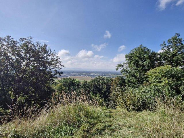 Immobilie kaufen in Feldkirchen an der Donau, Oberösterreich