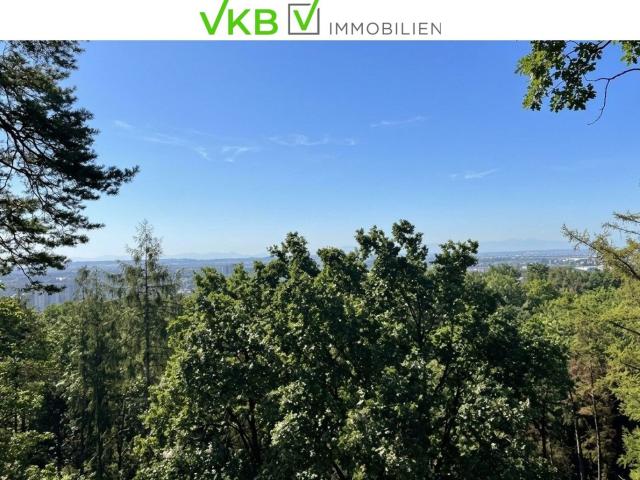 Wohnung kaufen in Leonding, Oberösterreich