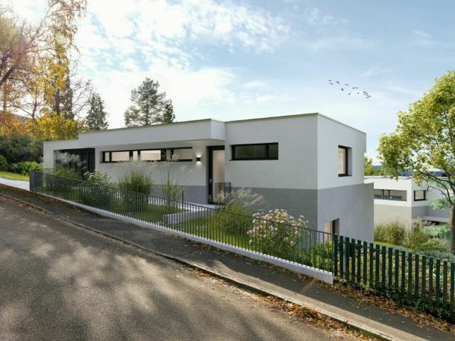 Einfamilienhaus kaufen in Arlesheim, Basel-Landschaft