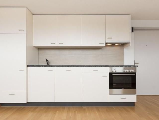 Apartment mieten in Birsfelden, Bezirk Arlesheim