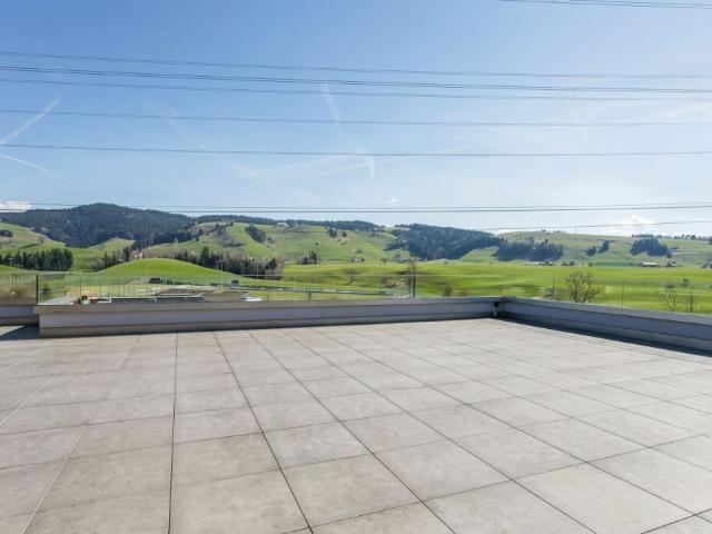 Terrassenwohnung kaufen in Menzingen, Zug