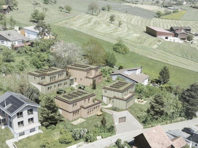 Einfamilienhaus kaufen in Thayngen, Schaffhausen
