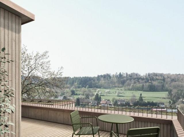 Terrassenwohnung kaufen in Thayngen, Schaffhausen