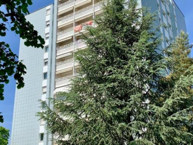 Apartment mieten in Einigen, Zürich