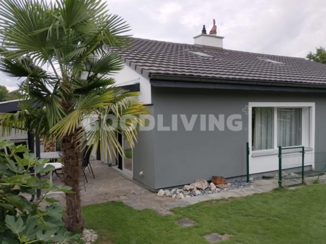 Einfamilienhaus kaufen in Niederlenz, Aargau