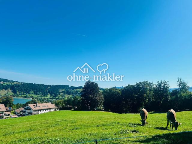 Apartment kaufen in Immenstadt, Bayern