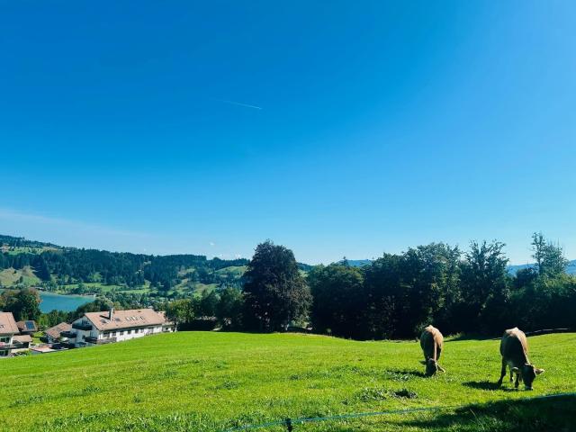 Wohnung kaufen in Immenstadt, Bayern