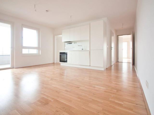 Apartment mieten in KG Inzersdorf Stadt, Wien