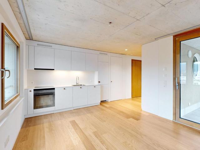 Apartment mieten in Einigen, Zürich