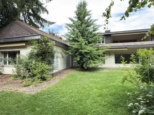Haus mieten in Langenthal, Verwaltungsregion Emmental-Oberaargau