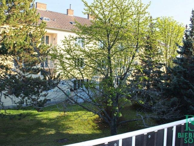 Apartment mieten in Katastralgemeinde Rauhenstein, Baden